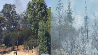 İTÜ Ayazağa'da otluk yangını: Ekiplerin müdahalesi sürüyor