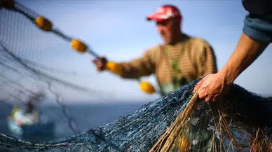 Yeni av sezonu kapıda: Karamürsel balıkçıları 1 Eylül'ü bekliyor