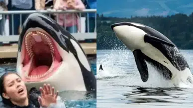 Jessica Radcliffe kimdir, öldü mü?