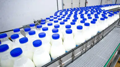 Süt sektöründe Haziran tablosu: Üretimde patlama yaşandı!