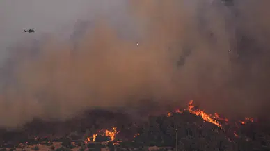 2025-2026 av sezonu yasaklandı