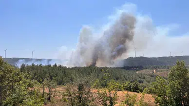 Çanakkale'de orman yangını çıktı!