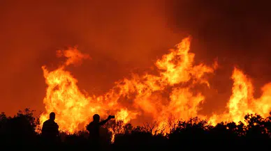 Manisa'daki orman yangınlarından biri kontrol altında!