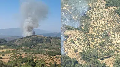 Aydın Germencik’te orman yangını: Ekipler müdahale ediyor