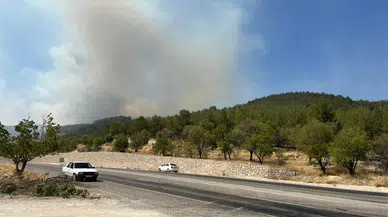 Adıyaman’da orman yangını! Ekipler müdahale ediyor