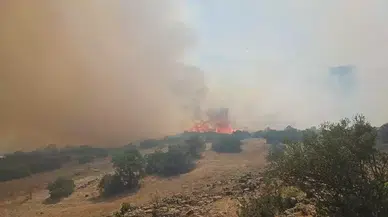 Balıkesir'de orman yangını: Ekipler müdahale ediyor