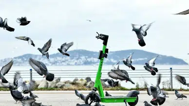 İBB UKOME’den Martı Tag ve Zuppin’e lisans engeli!