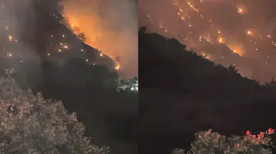 Denizli Buldan’da orman yangını