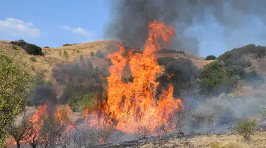 Bursa İznik’te makilik alanda yangın paniği!
