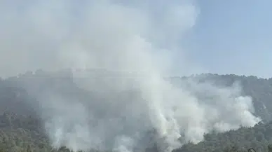 Uşak’ta orman yangını! Ekipler müdahale ediyor