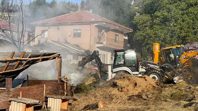 Ankara'da besi çiftliği yanarak küle döndü!