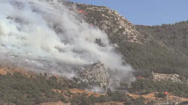 Hatay'da orman yangını çıktı