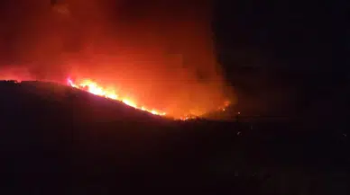 Hatay'da orman yangını: Evler tahliye ediliyor