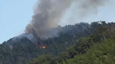 Kundakçıların zamanlama hatası daha büyük bir faciayı önledi!