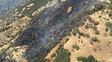 Aydın'daki tarım arazisi yangınını kayınpederine kızan gelin çıkardı