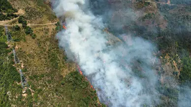 Gümüşhane'de fındıklık alanda çıkan yangın kontrol altına alındı!