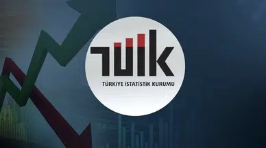 TÜİK açıkladı: Bu ay hangi yatırım aracı kazandırdı?