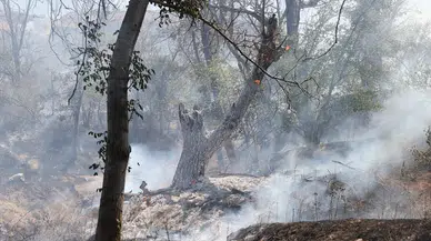 Nevşehir'de örtü yangını! Kontrol altına alındı