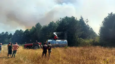 Sakarya'da orman yangını