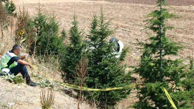 Jandarma Uzman Çavuş Yücel Yeşil şehit oldu