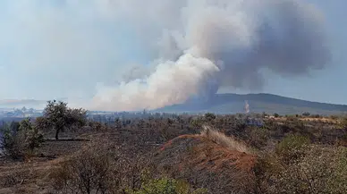 Çanakkale'de tarım arazisinde yangın!