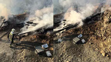 Kastamonu'da feci yangın: 2 ev 2 samanlık küle döndü