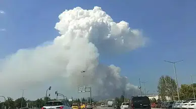 Bursa orman yangını: Ekipler müdahale ediyor