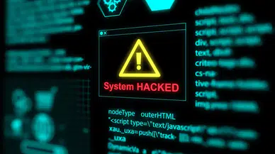 'No system is safe' ne demek?