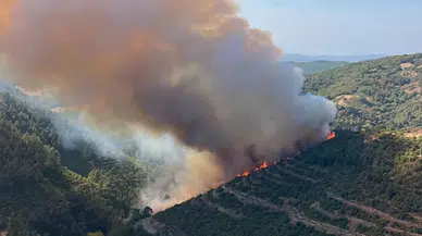 Balıkesir'de kaza yapan araçta başlayan yangın ormanlık alana sıçradı!