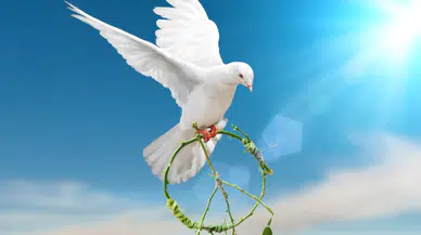 1 Eylül Dünya Barış Günü: Savaşsız, sömürüsüz bir dünya mümkün!