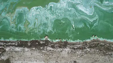 Terkos Gölü’nde yeşil tabaka ve köpük oluşumu endişe yarattı