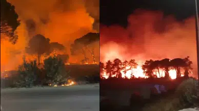 Antalya'nın Aksu ilçesinde orman yangını