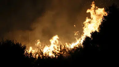Bakan Yumaklı açıkladı: Orman yangınlarıyla mücadelede hayatını kaybeden gönüllüler şehit sayılacak