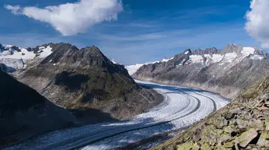 Alaska’da Alsek Buzulu eridi: Yeni ada ortaya çıktı