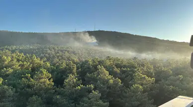 Ataşehir'de orman yangını: Çok sayıda ekip sevk edildi