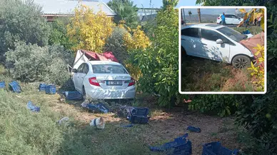 Mersin'de otomobil, zeytin toplayan işçilere çarptı: 1 ölü, 3 yaralı