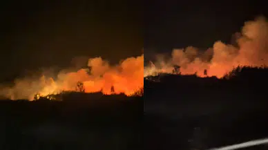 Bursa'da sazlık yangını!