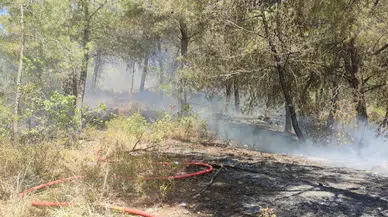 Çıkan orman yangını söndürüldü