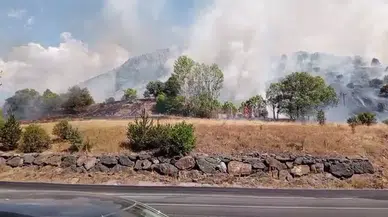 Sivas'ta makilik alanda yangın!