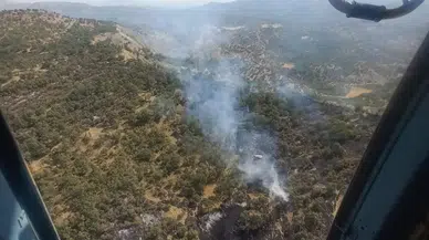 Şırnak Bestler Dereler’de orman yangını: Ekipler müdahale ediyor