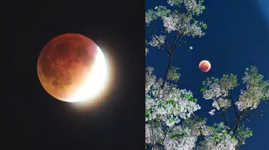 'Kanlı Ay' gökyüzünü büyüledi: Tam ay tutulması dünya genelinde ilgiyle izlendi!