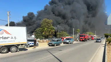 Muğla'da kereste deposunda yangın!