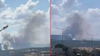 Çanakkale orman yangını kontrol altında