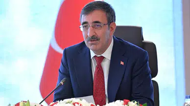 'Dezenflasyon süreci kararlılıkla devam edecek'