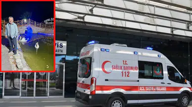 Kastamonu'da acı ölüm: Ağaçtan düşerek can verdi!