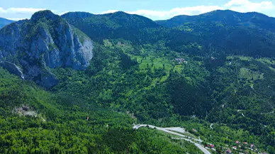 Küre Dağları'nda yeni bitki türü keşfedildi!