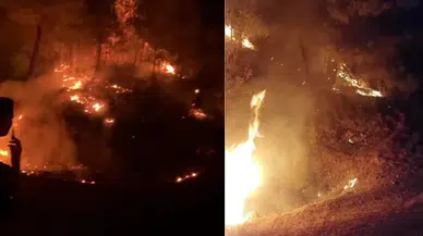 Antalya Gazipaşa'da ormanlık alanda yangın çıktı