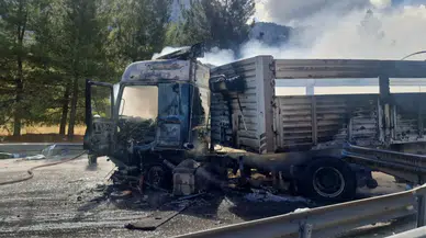 Adana'da büyükbaş hayvan yüklü tır yandı!