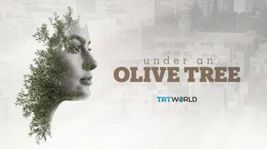 'Bir Zeytin Ağacının Altında': TRT World, Filistin direnişini ekranlara taşıyor!