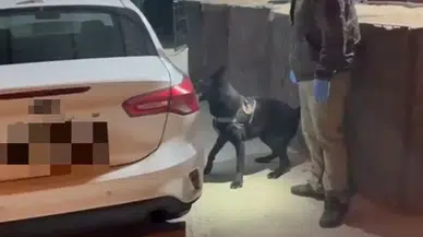 Samsun’da Tony 470 gram metamfetamin ele geçirdi